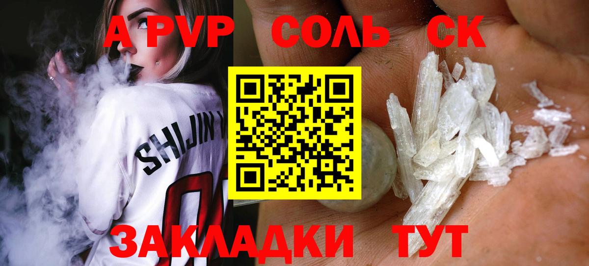 Альфа ПВП СК Курчалой
