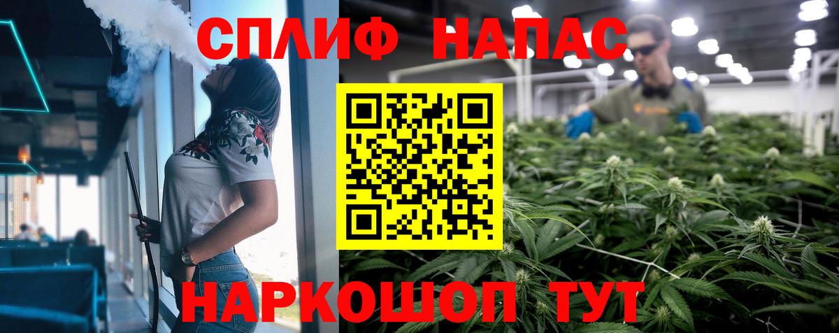 МАРИХУАНА план Курчалой